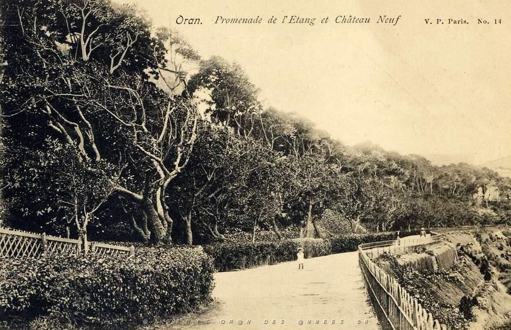 PL b - 029- Promenade de Letang B.JPG